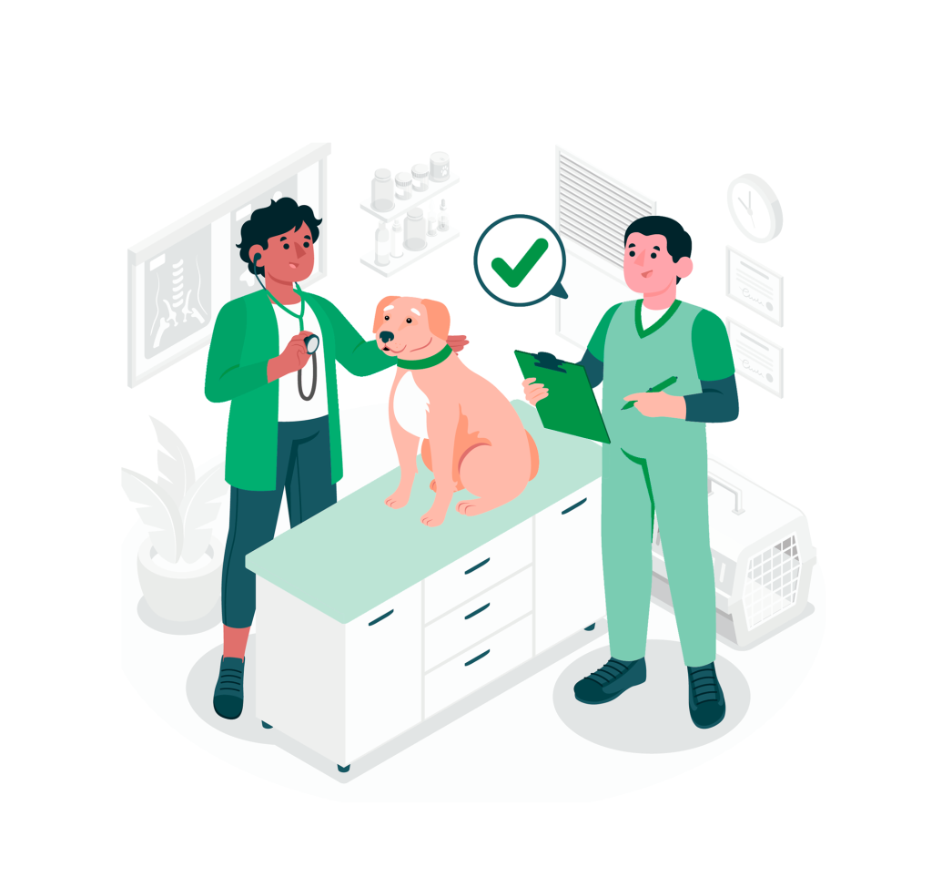 Área de Veterinaria