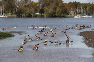regata 1