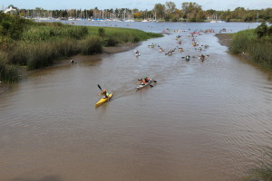 regata 2